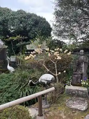 和田寺(兵庫県)
