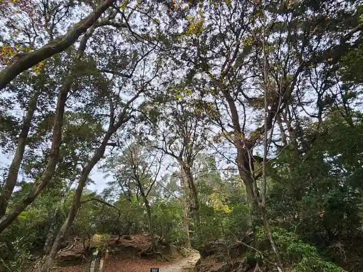 春日大社(奈良県)