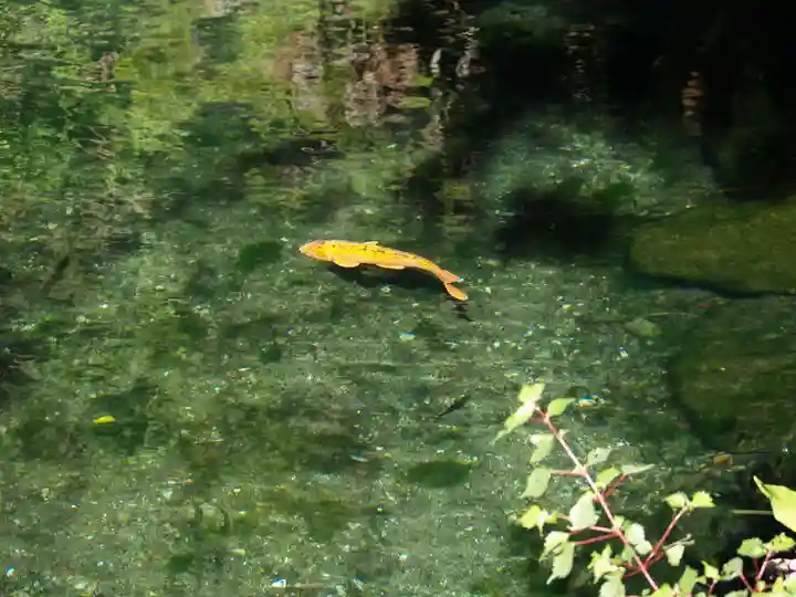 磯山弁財天(栃木県)