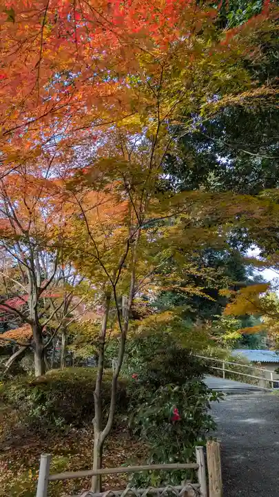 長岡天満宮(京都府)