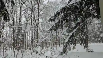 雨紛神社の自然