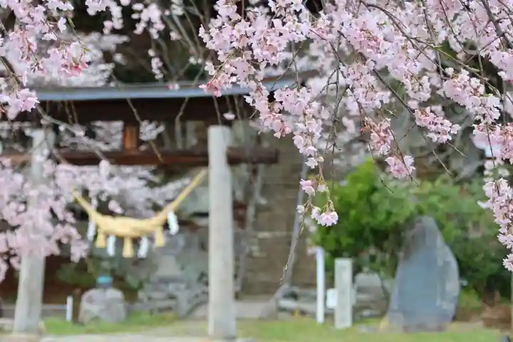 田村神社の鳥居