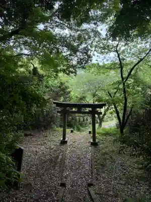 日枝神社(千葉県)