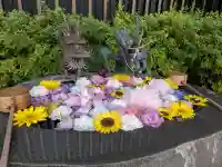 駒込妙義神社(東京都)