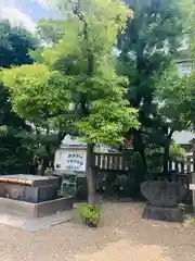 今宮戎神社の建物その他