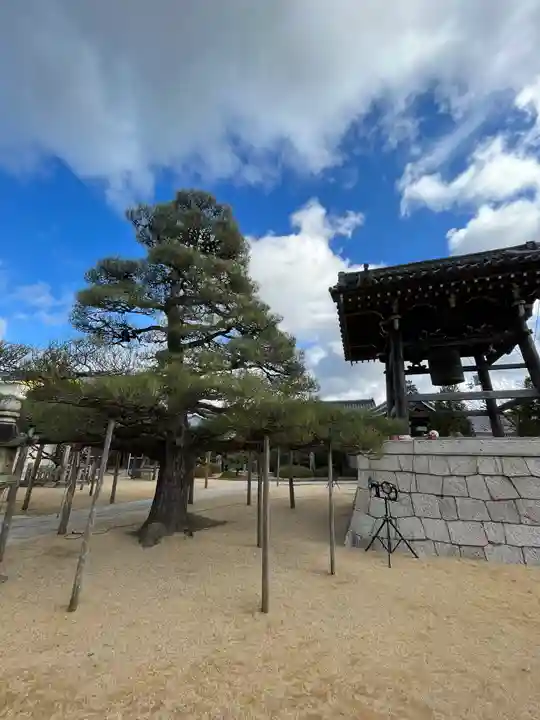 本福寺のその他建物