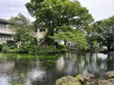 富士山本宮浅間大社(静岡県)