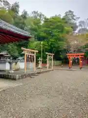 山崎神社(和歌山県)