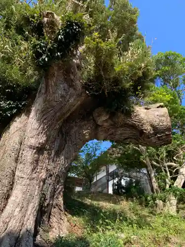 賢沼寺（沼ノ内弁財天）の自然