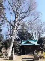酒門神社(茨城県)