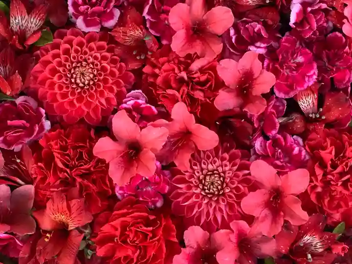 野見神社(大阪府)