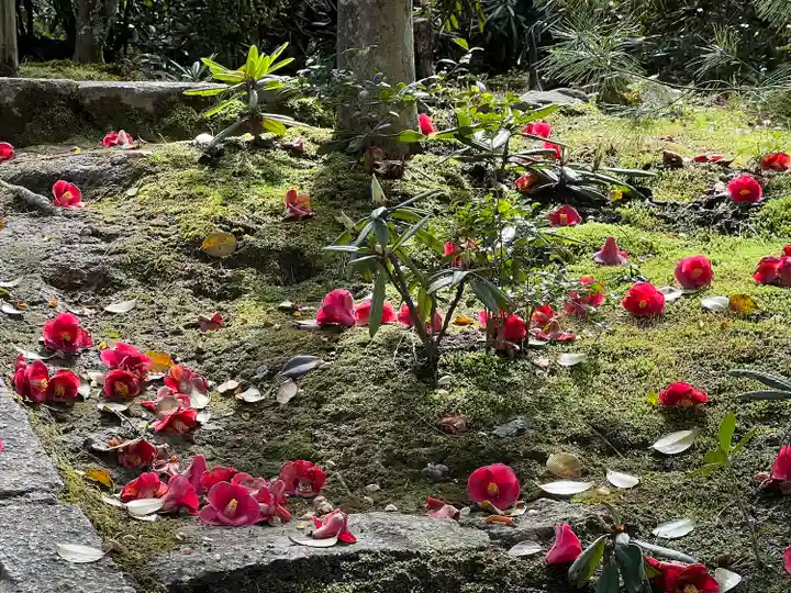 高台寺(高台寿聖禅寺・高臺寺)(京都府)