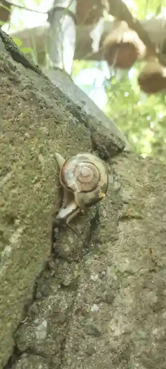 本牧神社(神奈川県)