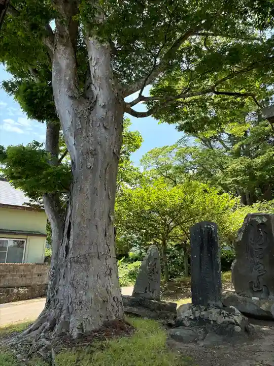 荒脛巾神社(福島県)