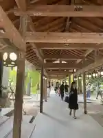 川越氷川神社(埼玉県)