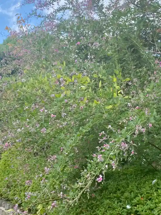 壬生寺(京都府)