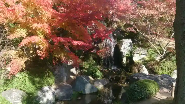 四天王寺の{uncategorized: "未分類", other: "その他", undefined: "問題あり", building: "その他建物", grave: "お墓", sacred_gate: "鳥居", guardian: "狛犬", statue: "像", buddha: "仏像", history: "歴史", nature: "自然", garden: "庭園", animal: "動物", pagoda: "塔", temizu: "手水舎", mountain_gate: "山門・神門", sanctuary: "本殿・本堂", subordinate: "末社・摂社", art: "芸術", scenery: "景色", jizo: "地蔵", ema: "絵馬", goshuin: "御朱印", omikuji: "おみくじ", items: "授与品その他", amulet: "お守り", goshuincho: "御朱印帳", eats: "食事", festival: "お祭り", votive_dance: "神楽", shichigosan: "七五三参", wedding: "結婚式", experience: "体験その他", initially: "初詣", around: "周辺", anti_infection: "感染症対策"}