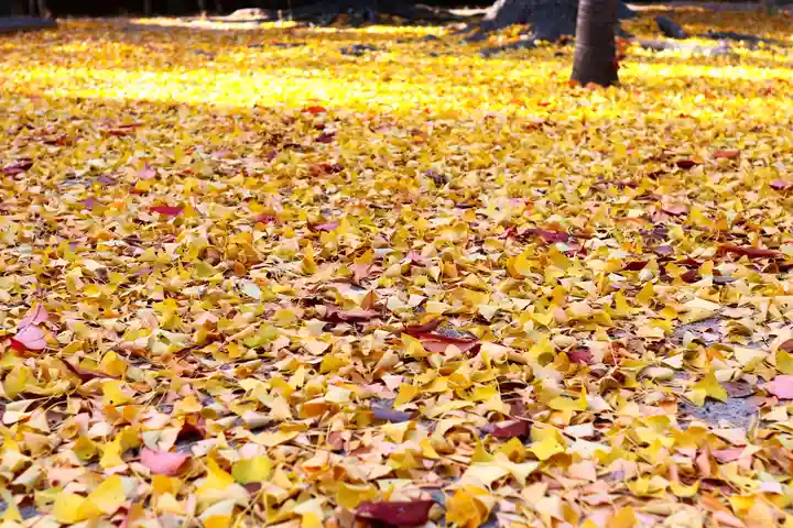 三津厳島神社の景色