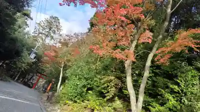 吉田神社(京都府)