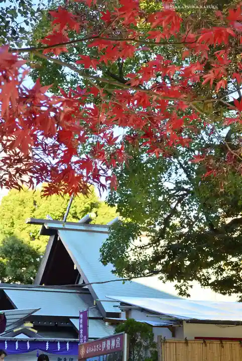 東京大神宮(東京都)