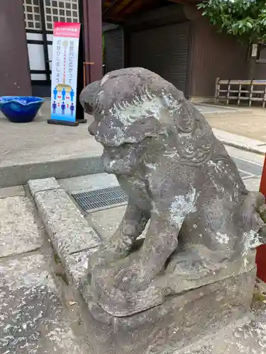 川越八幡宮の狛犬