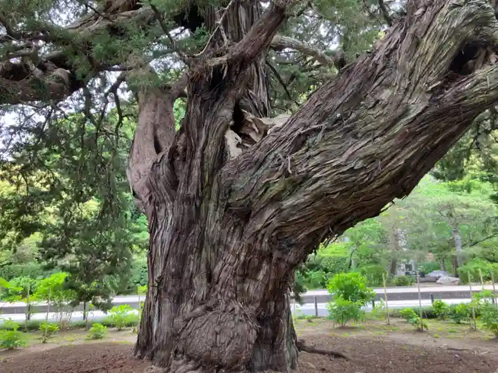 建長寺(神奈川県)