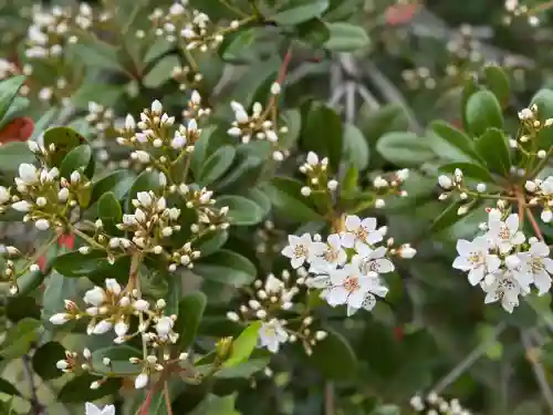 白水阿弥陀堂の自然