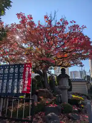 錫杖寺(埼玉県)