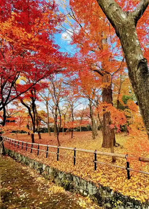 真正極楽寺(真如堂)の庭園