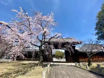 妙覺寺(妙覚寺)の山門・神門