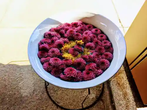 白金氷川神社の手水舎