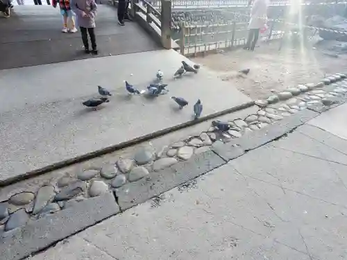 鑁阿寺(栃木県)
