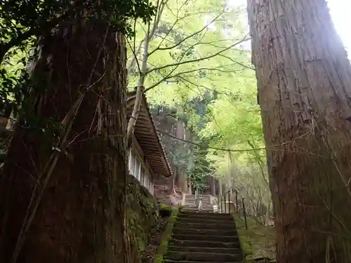 火男火賣神社（中宮）の庭園