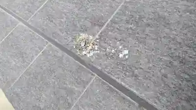 法雲寺(京都府)