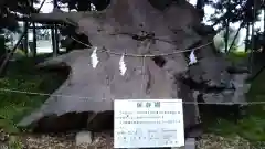 香取神社の建物その他