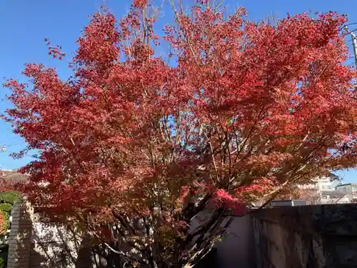 金剛寺(東京都)