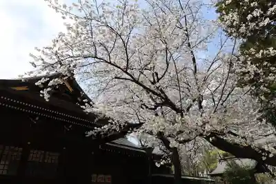 熊野神社(東京都)