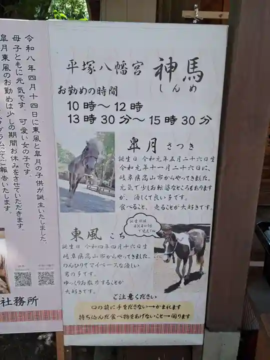 平塚八幡宮(神奈川県)