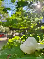 蚊里田八幡宮(長野県)