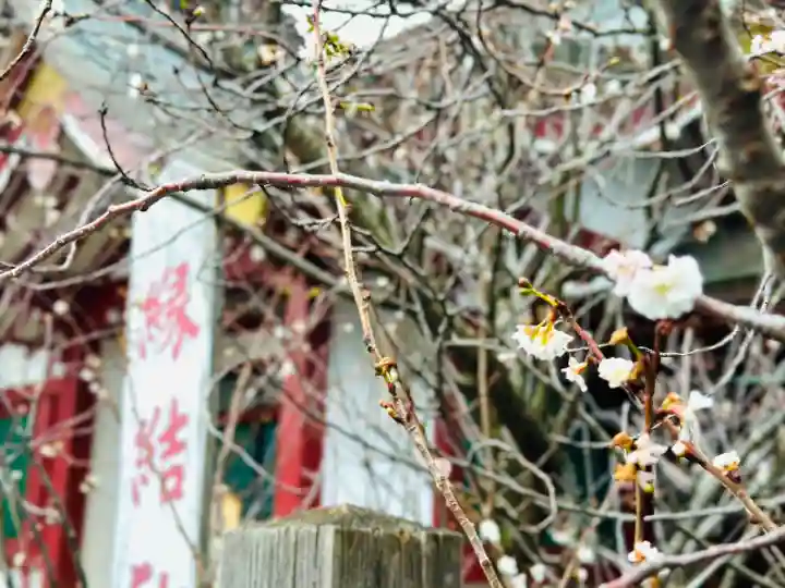 氣比神宮(福井県)