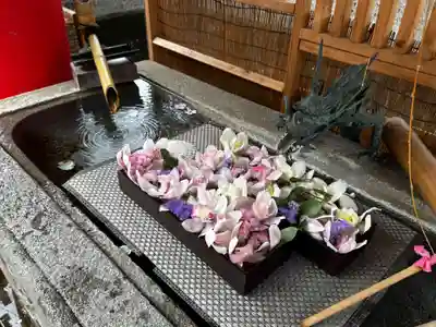 徳島眉山天神社(徳島県)