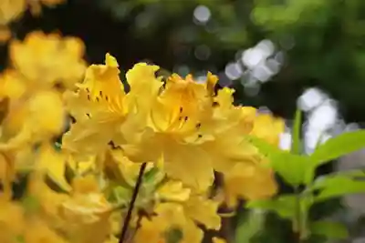 石光寺(奈良県)