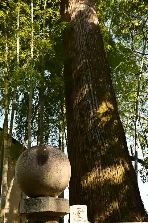 朝倉神社(高知県)