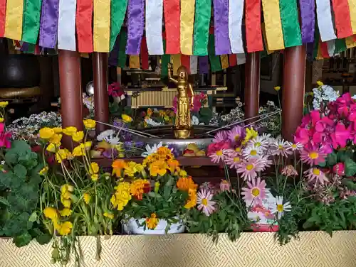 宝勝山　南藏院   蓮光寺(東京都)