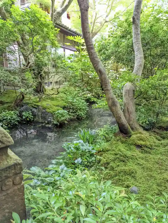 光明寺瑠璃光院(京都府)