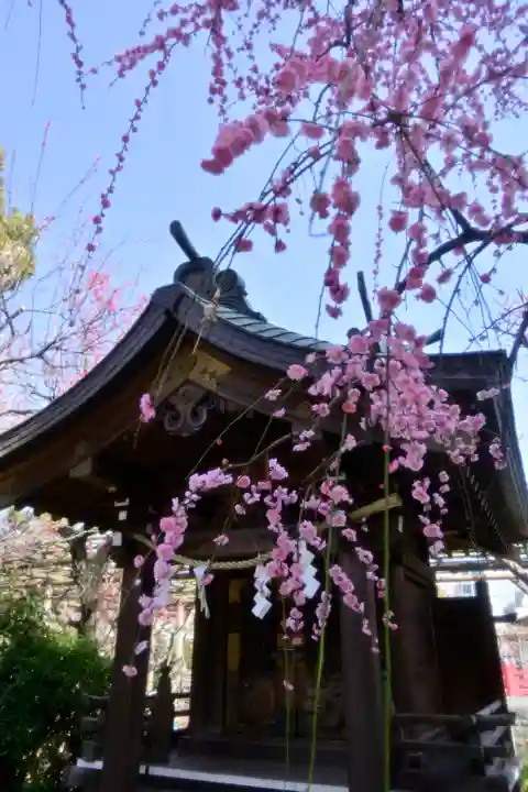 亀戸天神社(東京都)