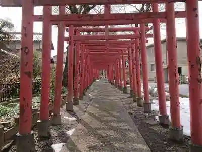 松島稲荷神社の鳥居