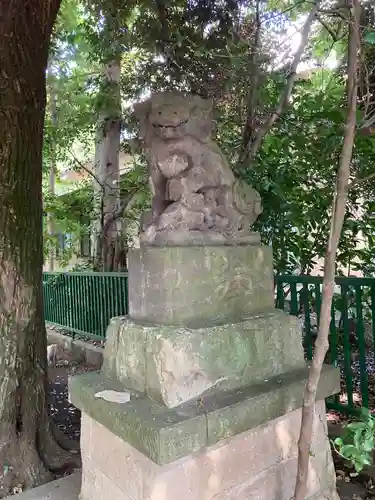 小金井神社の狛犬