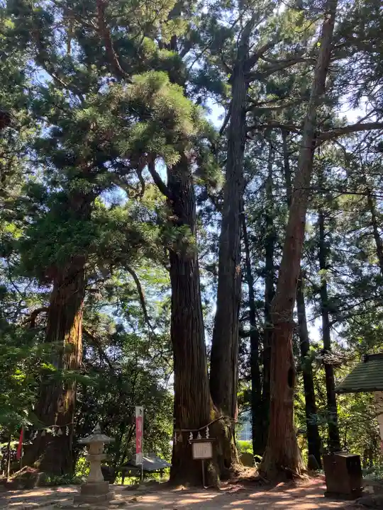 高藏寺(宮城県)