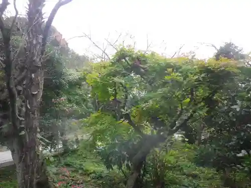 長勝寺の庭園